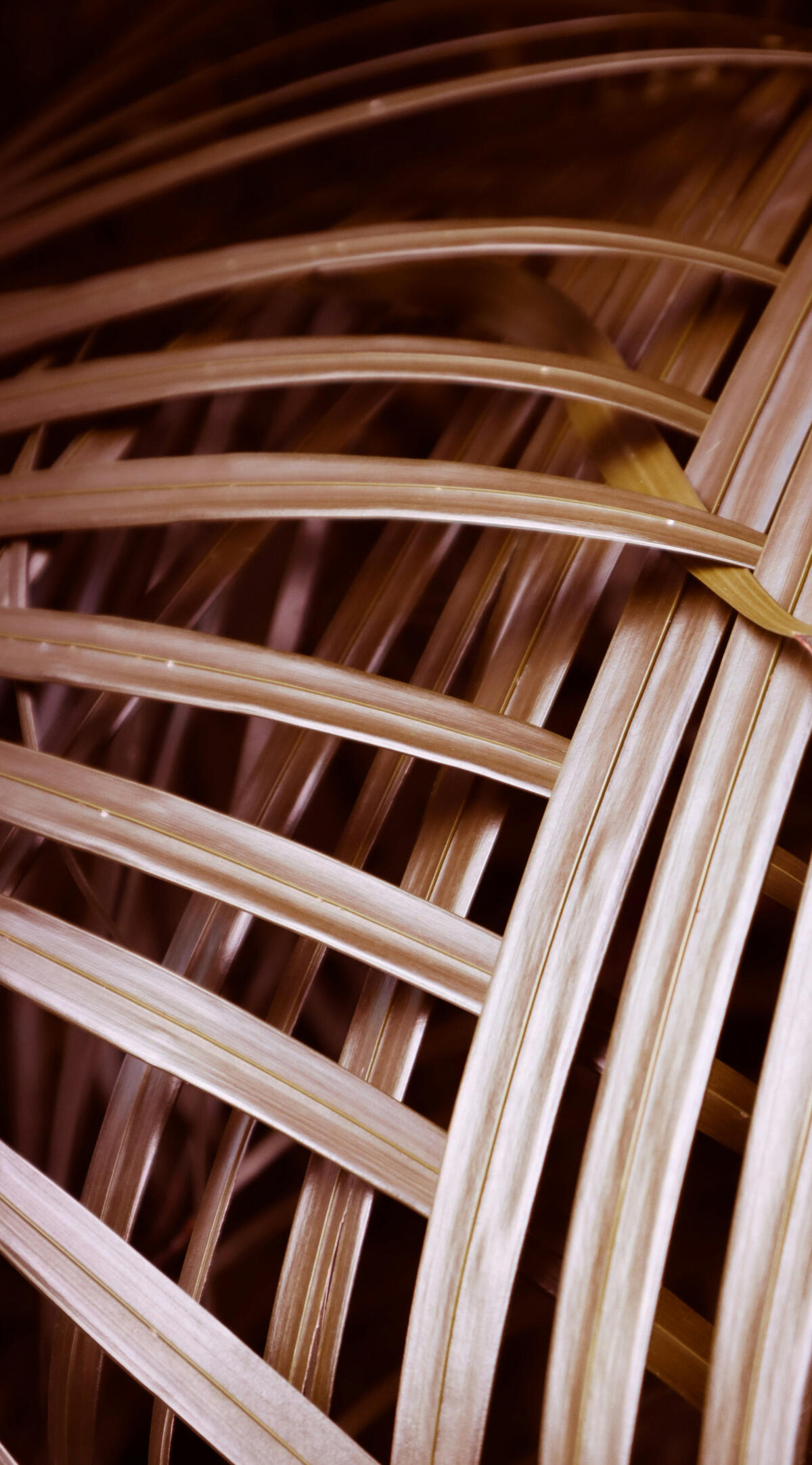 Cambaya Beach Resort. Self Sustaining Cambaya Beach Resort. Self Sustaining