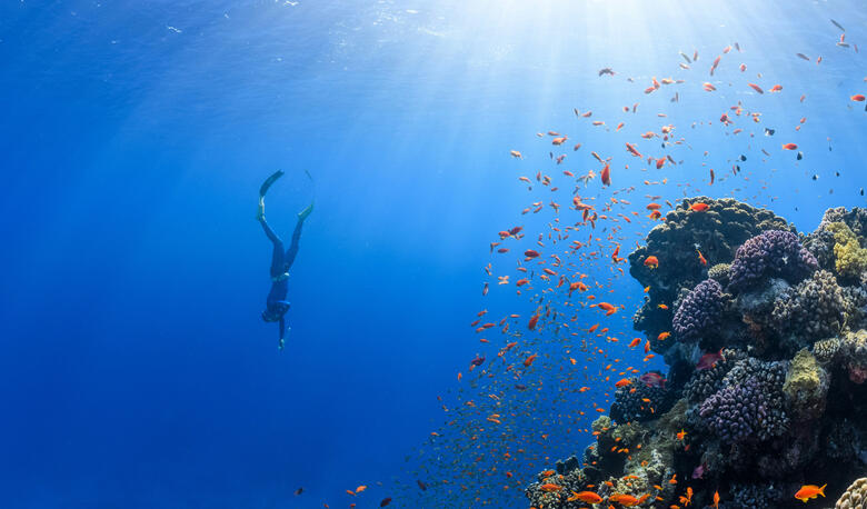 Cambaya Beach Resort Optional Experiences Cambaya Beach Resort Optional Experiences